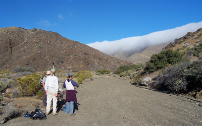 On Cedros Island